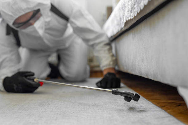 Professional Bed Bug Control technician working in Pickerington, OH