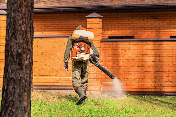 Trusted Ant Control service in Pickerington, OH - Nex Pest Control